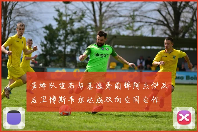 黄蜂队宣布与落选秀前锋阿杰伊及后卫博斯韦尔达成双向合同合作